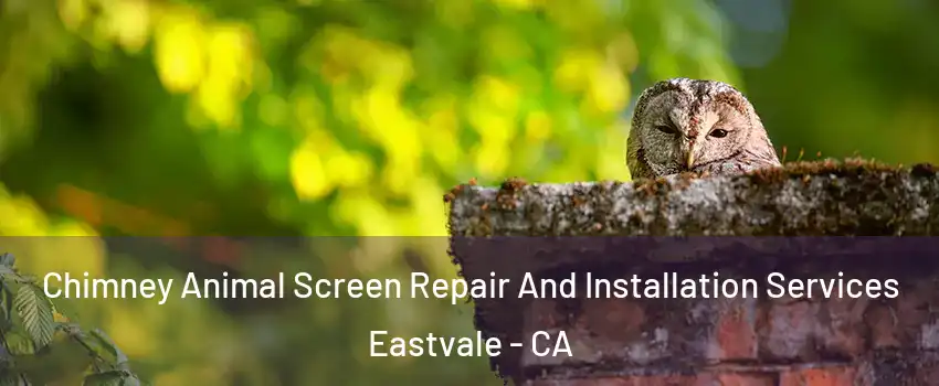  Chimney Animal Screen Repair And Installation Services Eastvale - CA