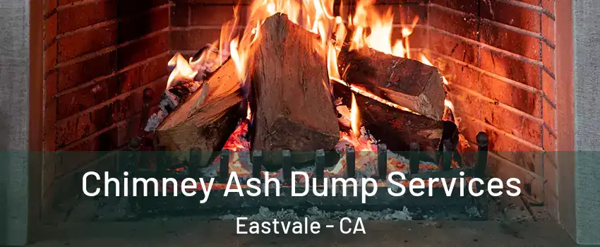  Chimney Ash Dump Services Eastvale - CA