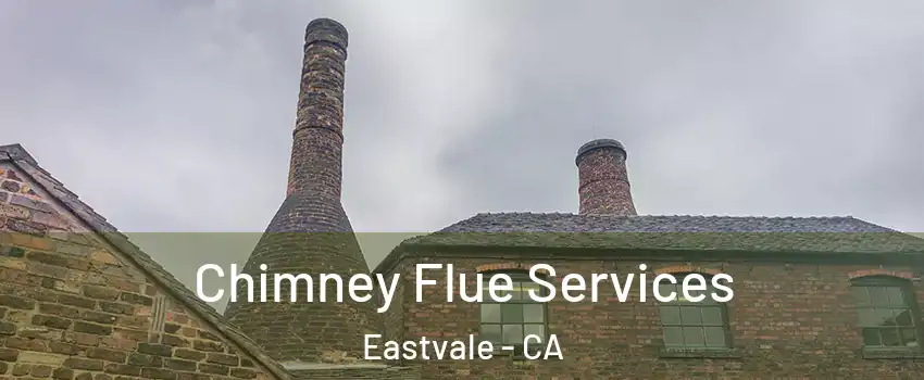  Chimney Flue Services Eastvale - CA