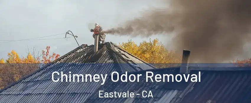  Chimney Odor Removal Eastvale - CA