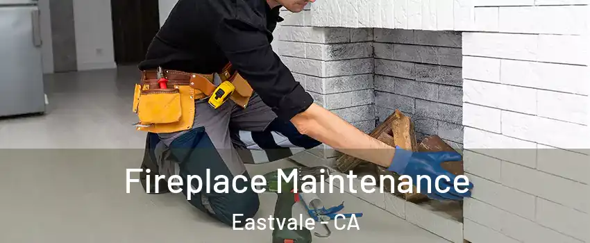  Fireplace Maintenance Eastvale - CA