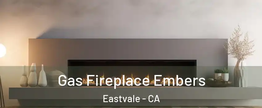  Gas Fireplace Embers Eastvale - CA