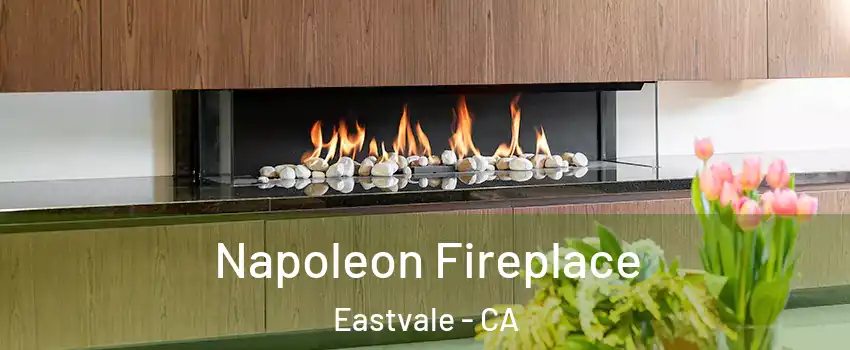  Napoleon Fireplace Eastvale - CA
