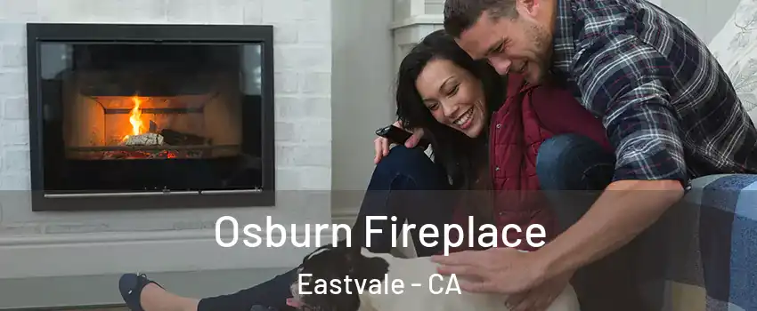  Osburn Fireplace Eastvale - CA